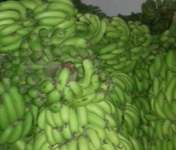 Wafa Cash (Ag. Fés Ben Debbab) - Fès - +212 5356-31520