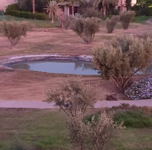 Benjelloun Jamaleddine (Expert) - Marrakech - +212 5244-32857