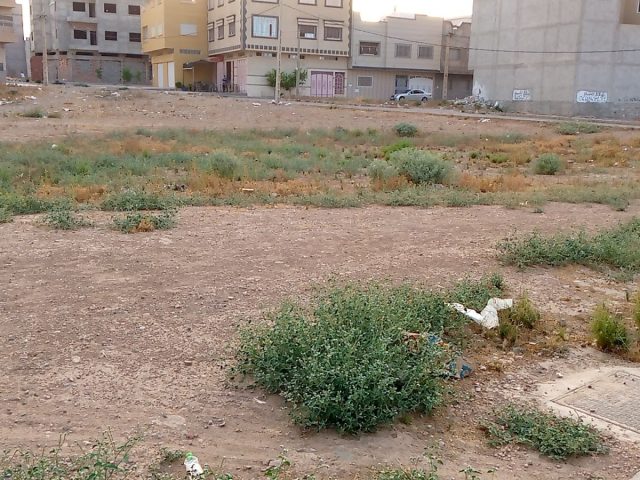 Banque Populaire ( Agence Narjis) - Oujda -