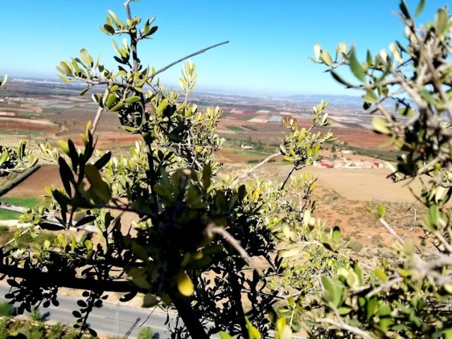 Commune Iqaddar - El-Hajeb -