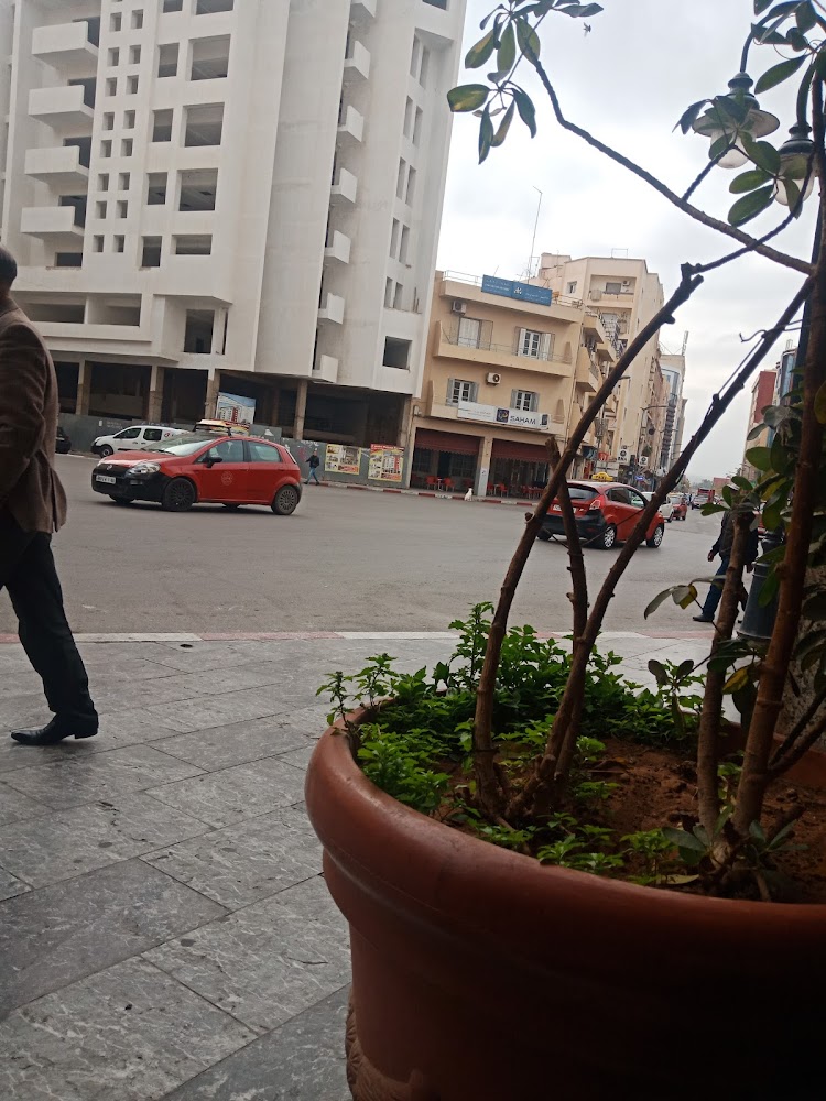 Saham assurance تأمينات سهام