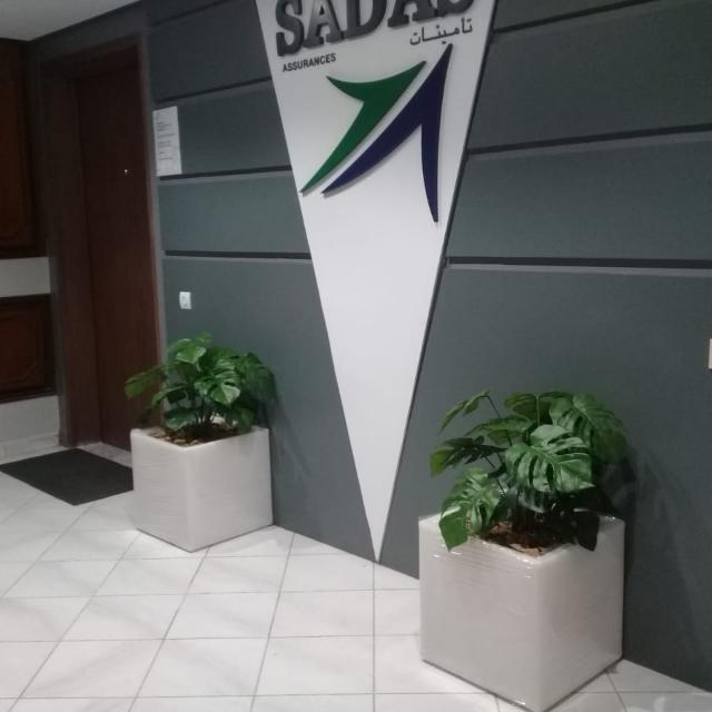 SADAS Assurances