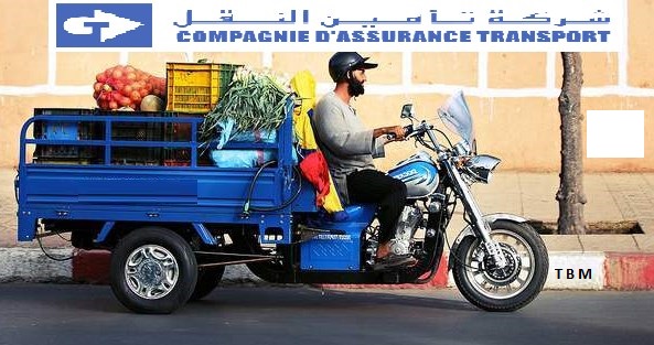 ASSURANCE BAZI - Tiznit - +212 5288-61717