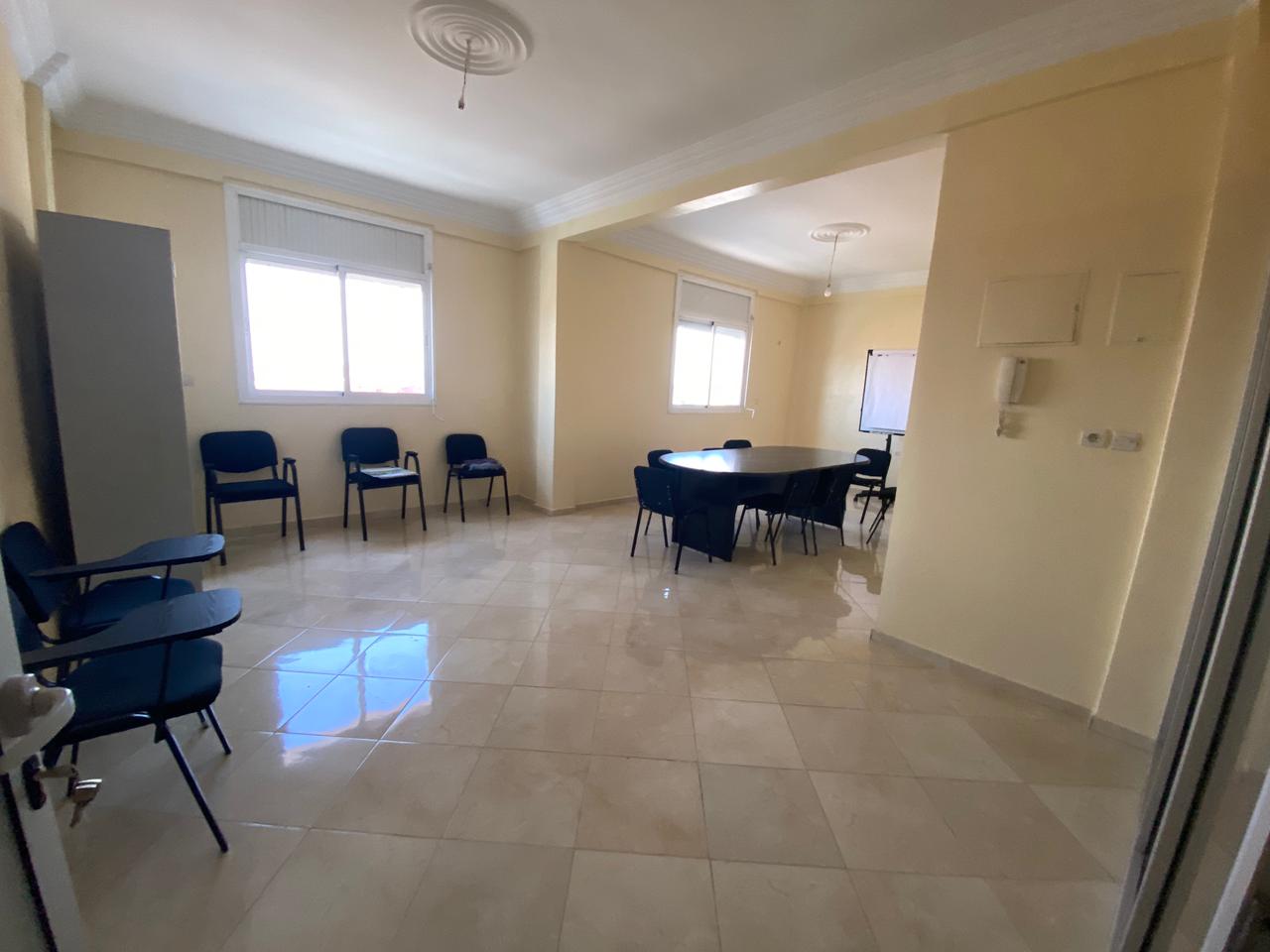 VIVO CONSULT