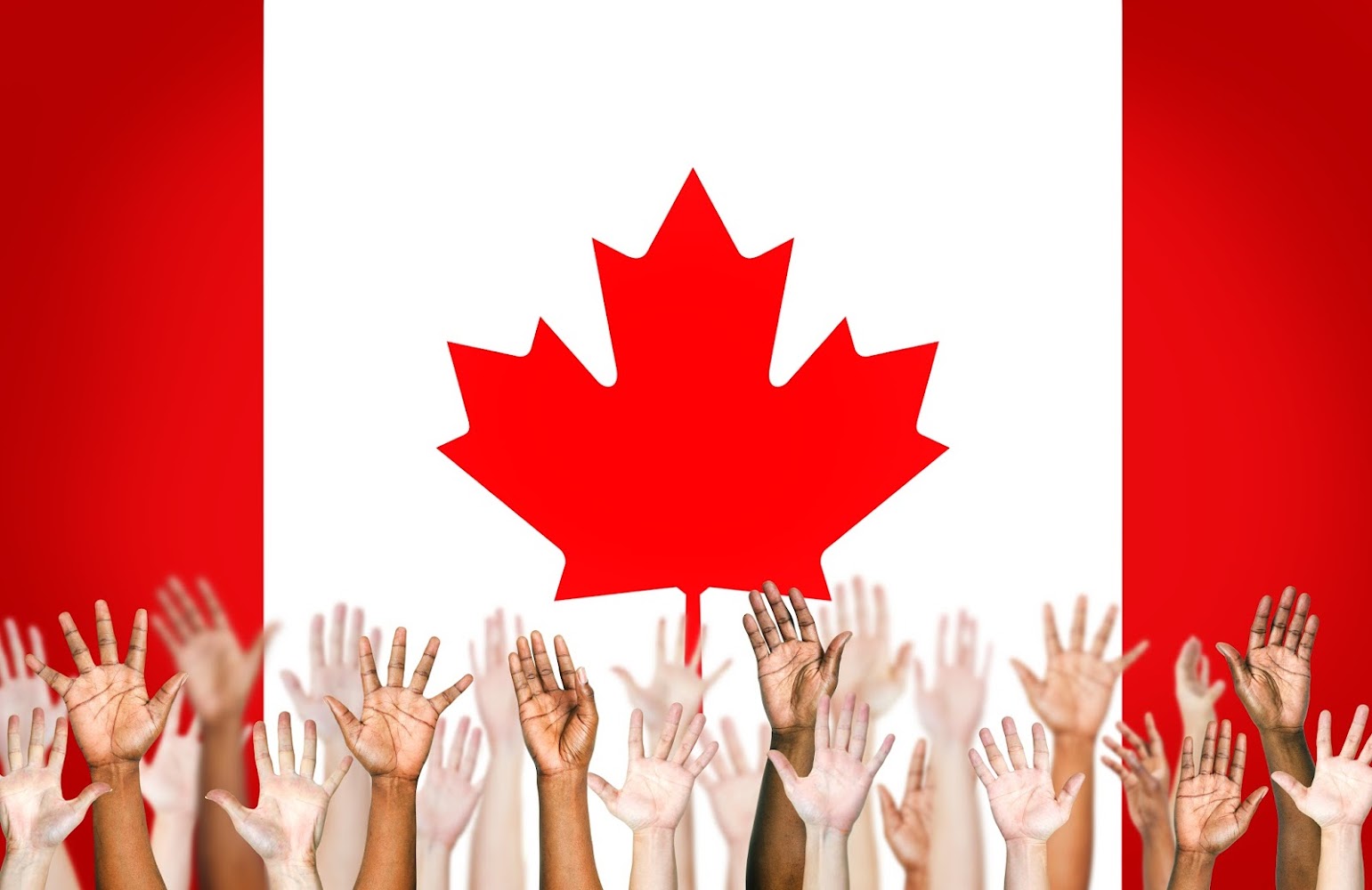 Immigration Pro Gestion (canadienne)