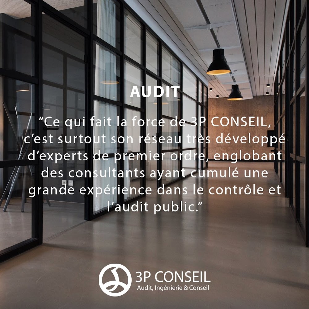3P Conseil
