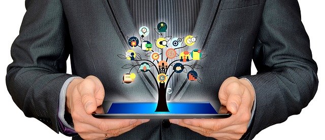 CK CONSULTING -  - +212 684-353730