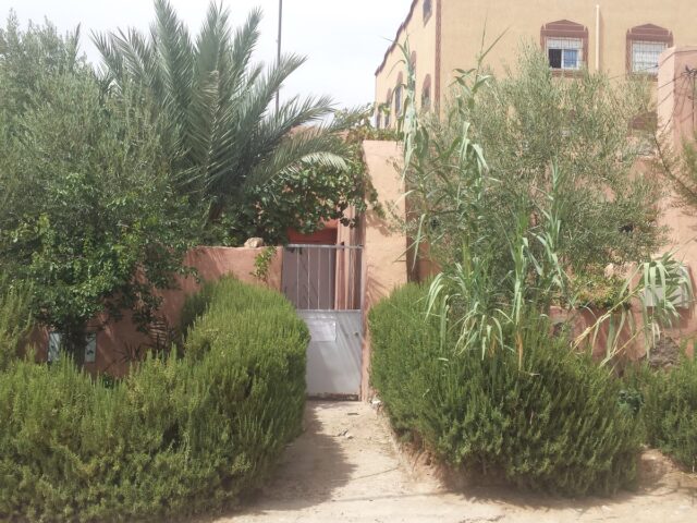 الخزينة العامة -The public treasury, Tax administration - Boumalne Dadès -