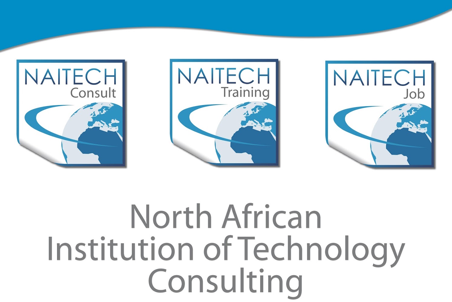 NAITECH Consult