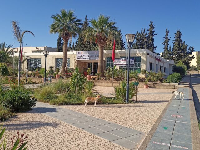École Supérieure de Technologie d'Oujda - Oujda - +212 5365-00224