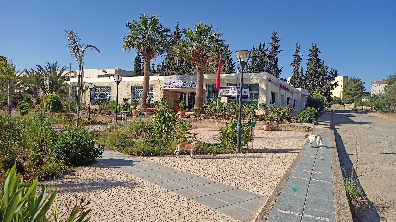 École Supérieure de Technologie d'Oujda