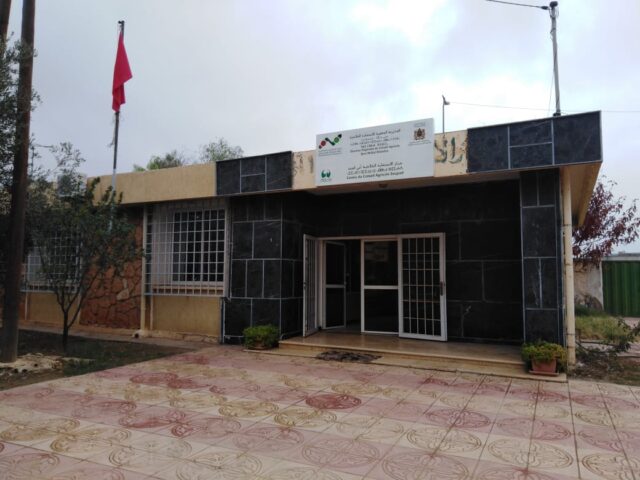 مركز الاستشارة الفلاحية أبي جعد CCA BOUJAAD - Boujad - +212 5234-14135