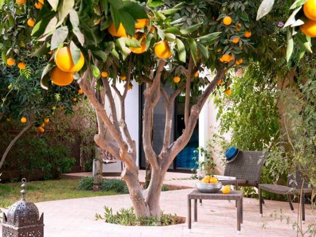 SOFAGEC - Agadir - +212 5288-44472