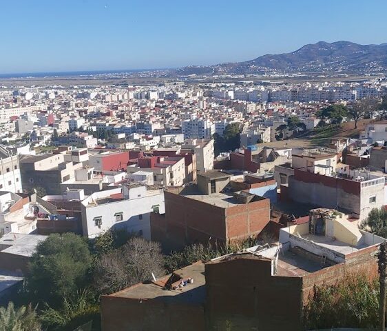 marketing - Tétouan - +212 603-154526