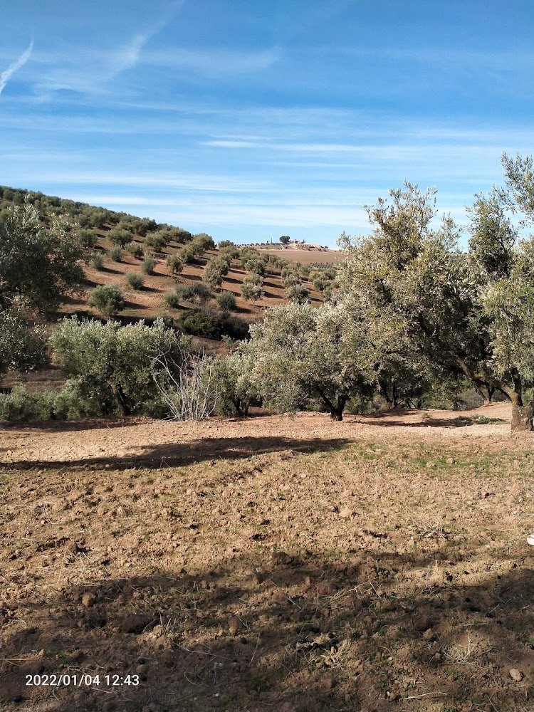 SDTM Oujda