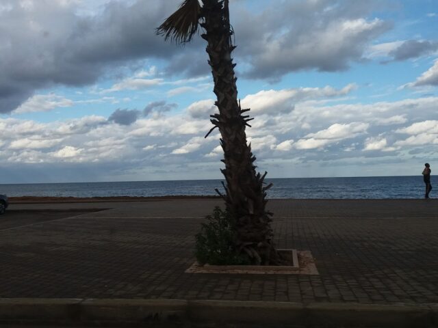 Berrada Mohamed (Expert) - Salé - +212 5377-84068