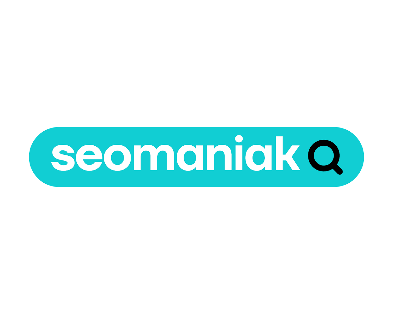 Seo Maniak