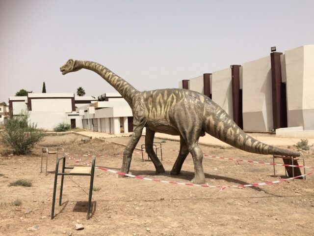 Faculté des Sciences d'Oujda - Oujda - +212 5365-00601