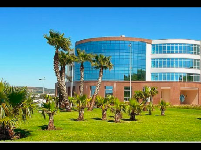 IGC consulting International (By Olivier Gattel) - Tanger - +212 613-114661
