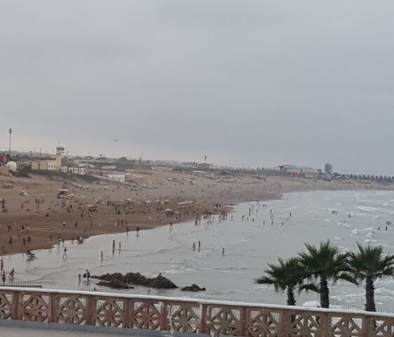 Action Marketing Plus - Casablanca - +212 661-150625
