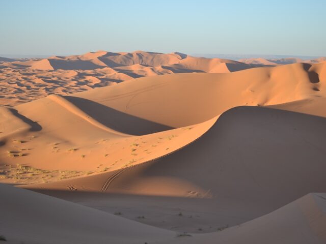 oubira .oasis merzouga. -  - +212 677-923290