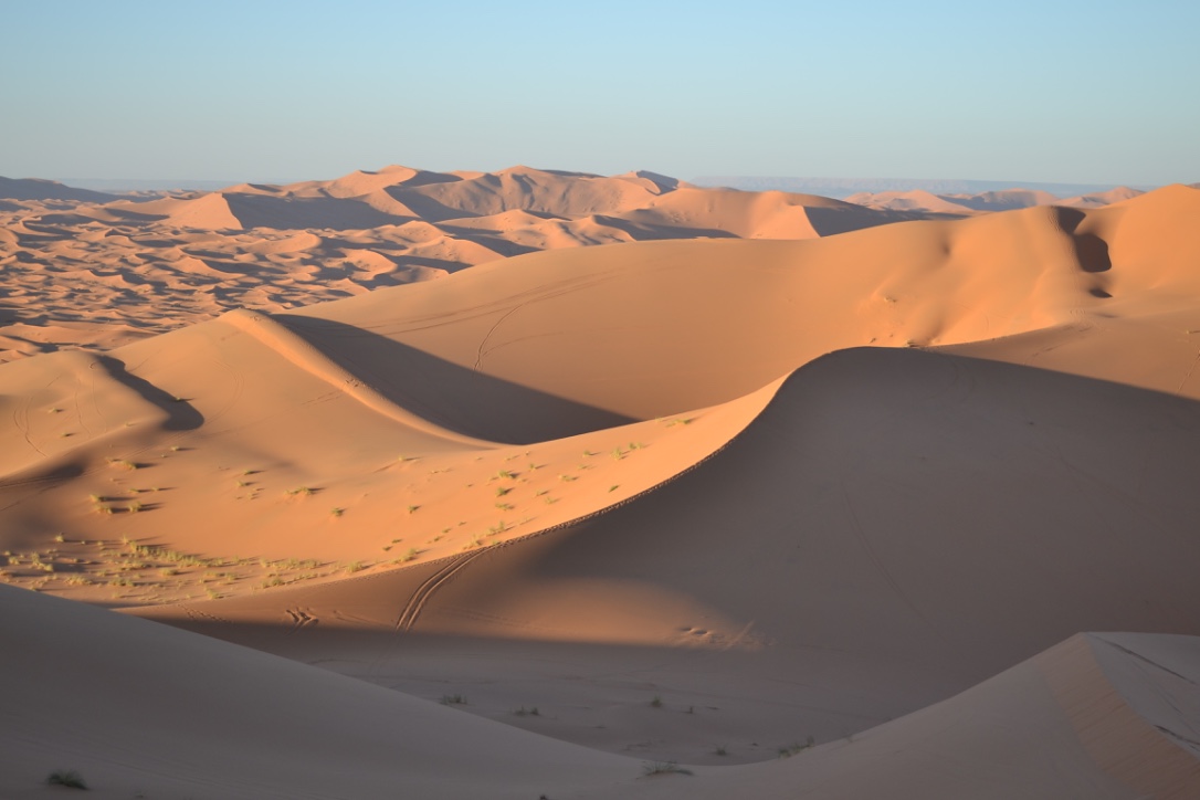 oubira .oasis merzouga.