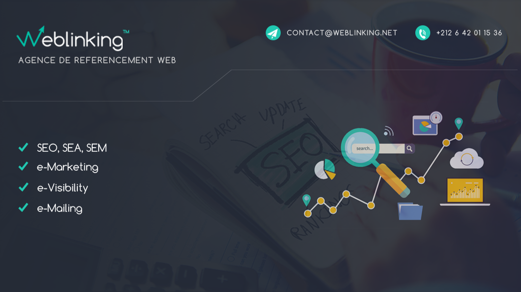 Agence de référencement & e-marketing Weblinking.net