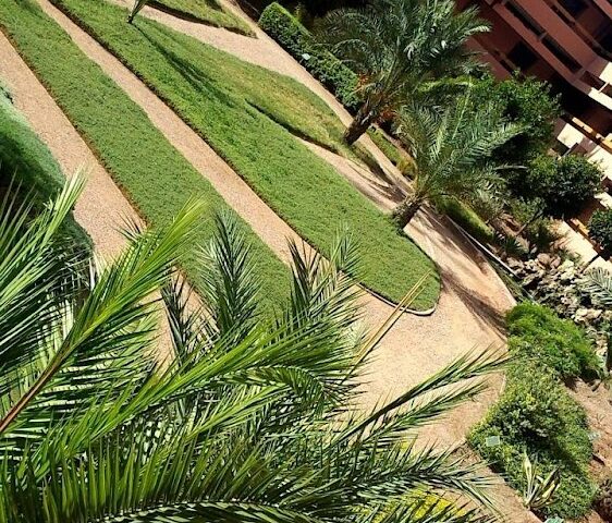 Faculté des Sciences Semlalia - مراكش - +212 5244-34649