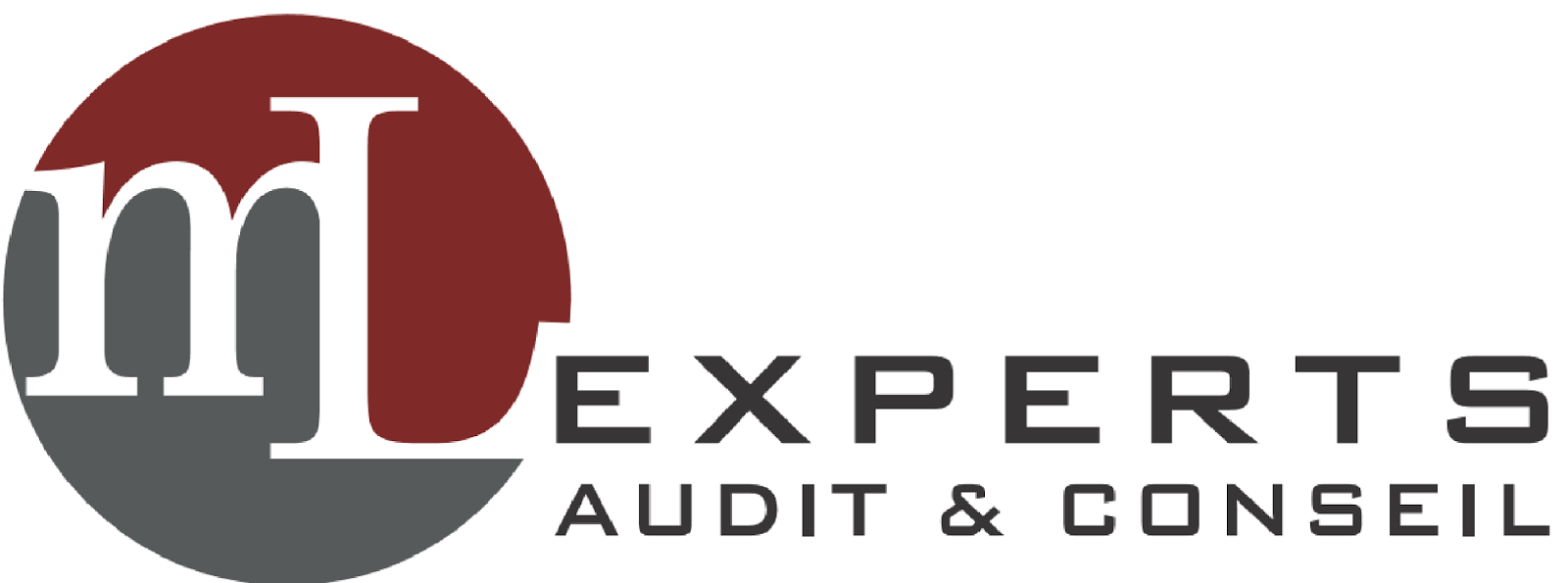 ML EXPERTS