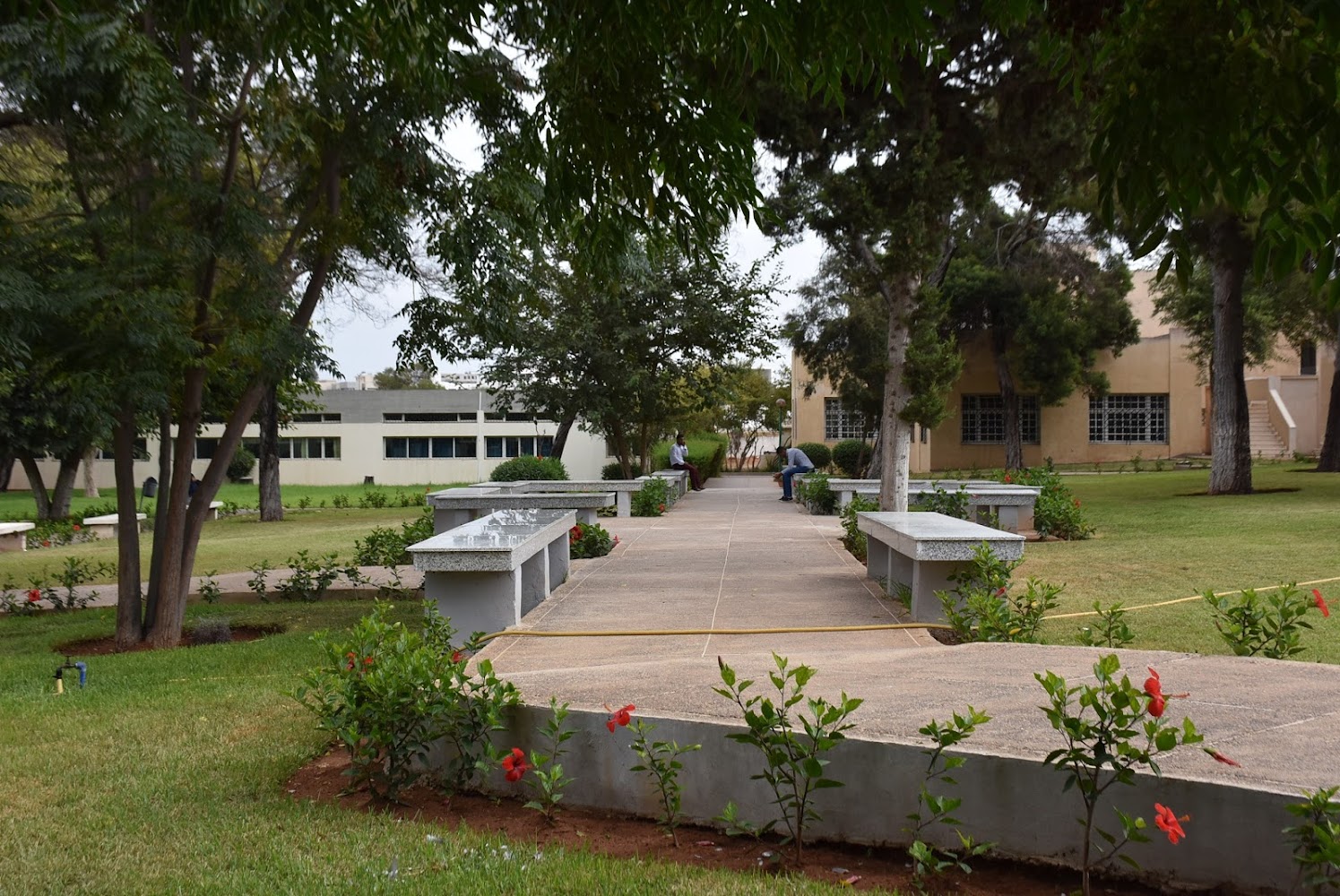 Faculté des sciences de l'éducation