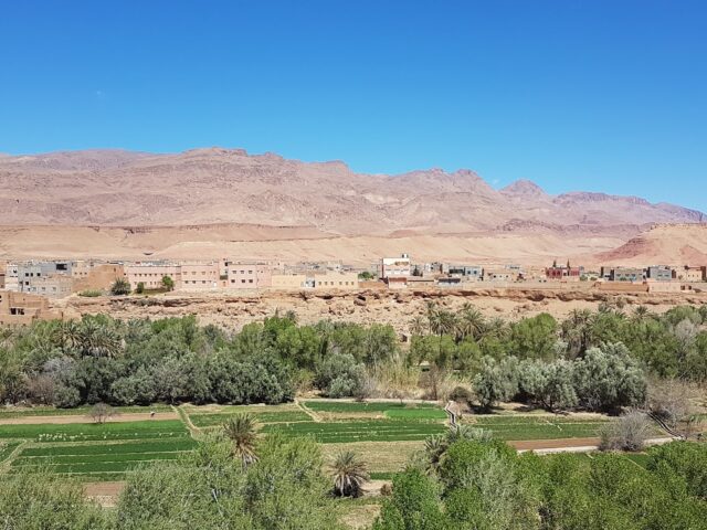 Conseil Provincial Du Tourisme De Tinghir - Tinghir - +212 666-617353