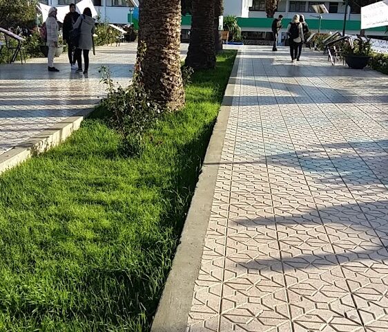 جامعة عبد الملك السعدي.كلية العلوم - Tétouan - +212 5399-96432