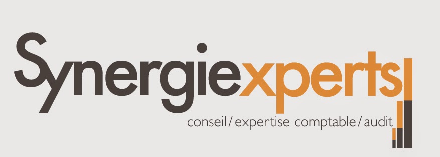 Synergie Experts