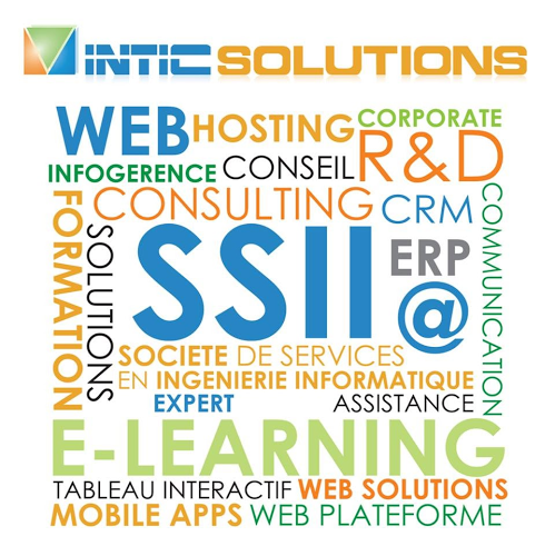 INTICSOLUTIONS