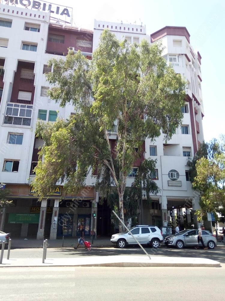 Dr Bragvadze Mariama Marina - Gynécologue Casablanca Belvedere