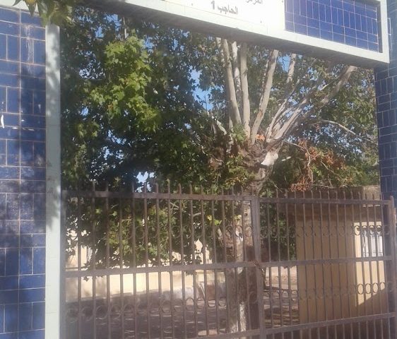 Hopital El yasmine مستشفى الياسمين - El-Hajeb -