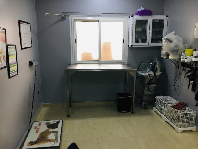 Cabinet Vétérinaire La Lagune - Essaouira - +212 5244-74359