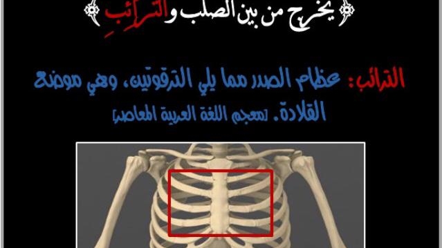 Dr Larbi GUESSOUS Gynécologue Obstétricien - Tanger - +212 5399-49696