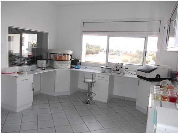 Centre Ibn Rochd d'anatomie pathologique et Cytodiagnostic - Agadir - +212 5288-28282