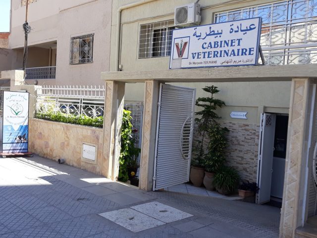 عيادة بيطرية الكتورة مريم تهامي - Oujda - +212 661-079588