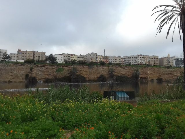 Afiri Mostapha - Casablanca - +212 5233-11688