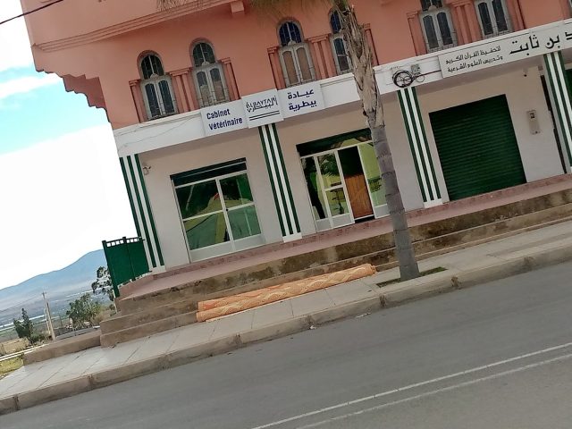 Albaytari Cabinet Vétérinaire - Zaio - +212 5363-38398