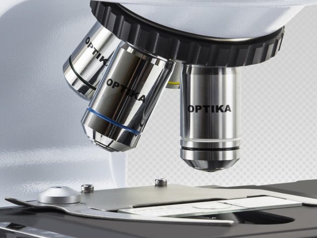 Laboratoire d'Analyses Médicales et de Biologie de Reproduction NOVOLAB - Tanger - +212 5393-33606