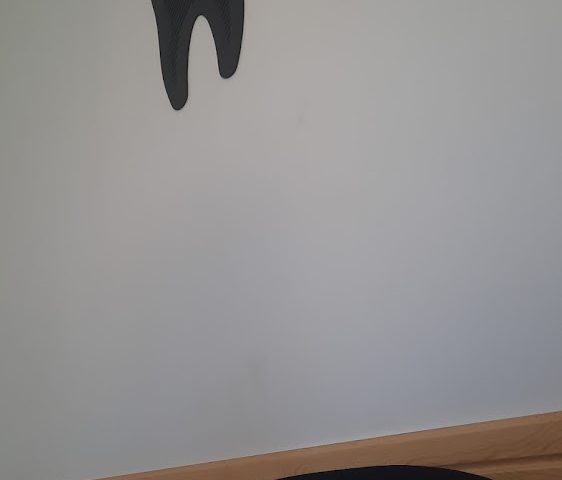 Docteur Chirurgien Dentiste Dr. Badyine Sara (Cabinet Dentaire) - Khémisset - +212 5375-53993