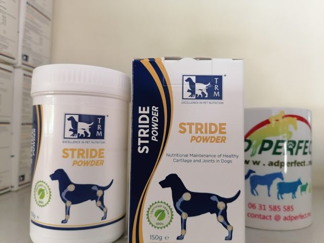 Cabinet Veterinaire Abdelbaki Zryouil - El Jadida - +212 663-640264
