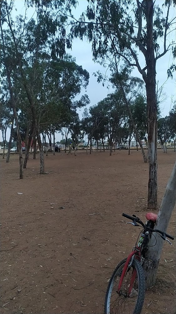 La cité sidi bennour