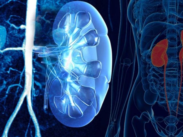 Cabinet Urologie Dr FETTAHI Abdelaziz - El Jadida - +212 5233-55016