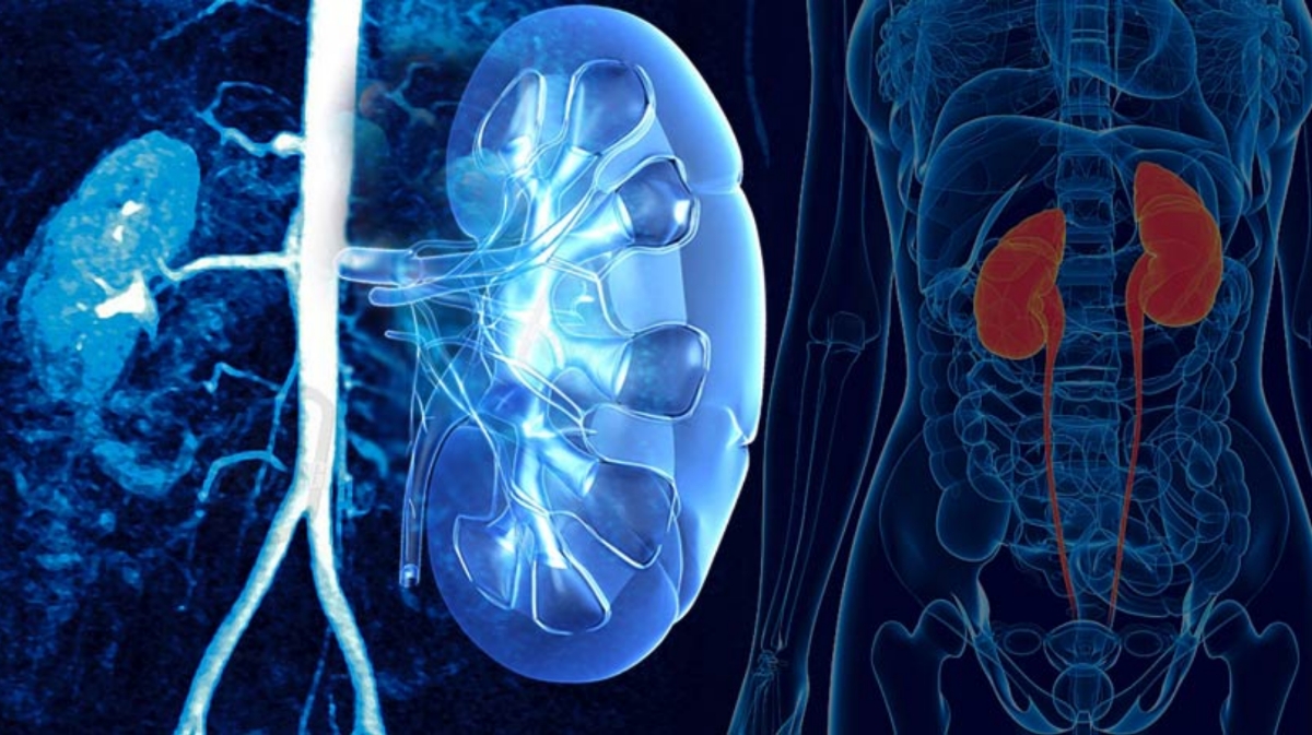 Cabinet Urologie Dr FETTAHI Abdelaziz