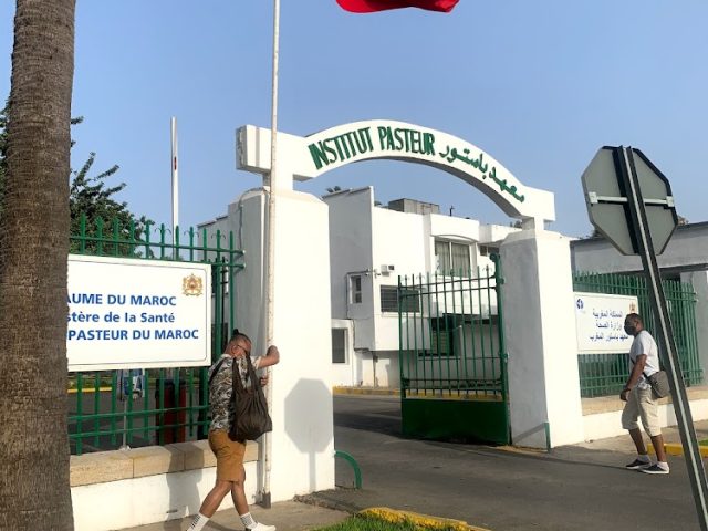 Institut Pasteur Du Maroc - Casablanca - +212 5224-34450