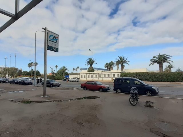 PFIZER - El Jadida - +212 668-939746